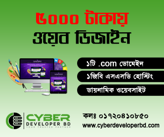 Cyber Developer BD