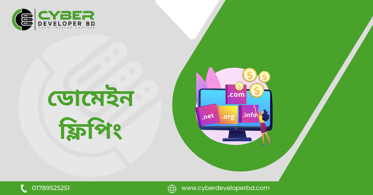 ডোমেইন ফ্লিপিং (Domain Flipping)