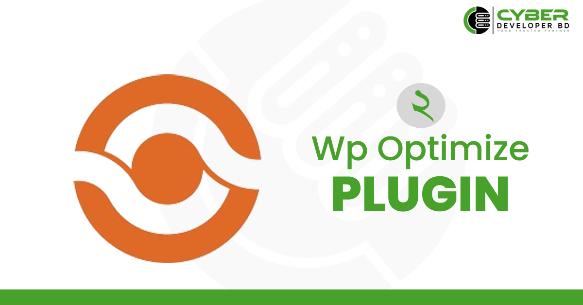 WP OPTIMIZATION PLUGIN