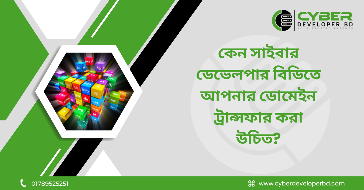 কেন সাইবার ডেভেলপার বিডিতে আপনার ডোমেইন ট্রান্সফার করা উচিত?