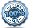 100% Uptime