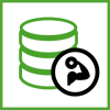 Robust Database Server