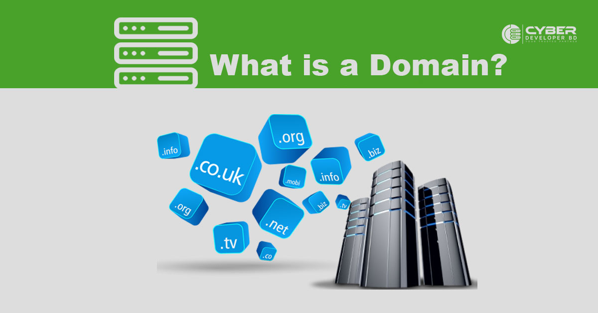 What is a domain?
