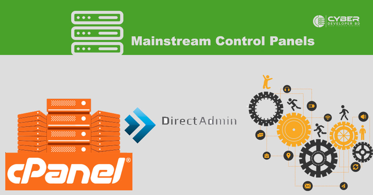 Web Hosting on cPanel and DirectAdmin