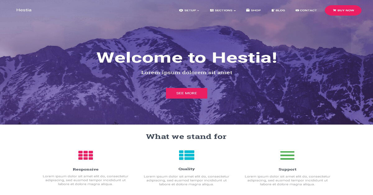 Hestia Free WordPress Theme - Domain, Web Hosting and Web Design in ...