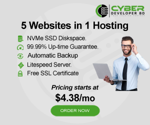 5 Website in 1 hosting