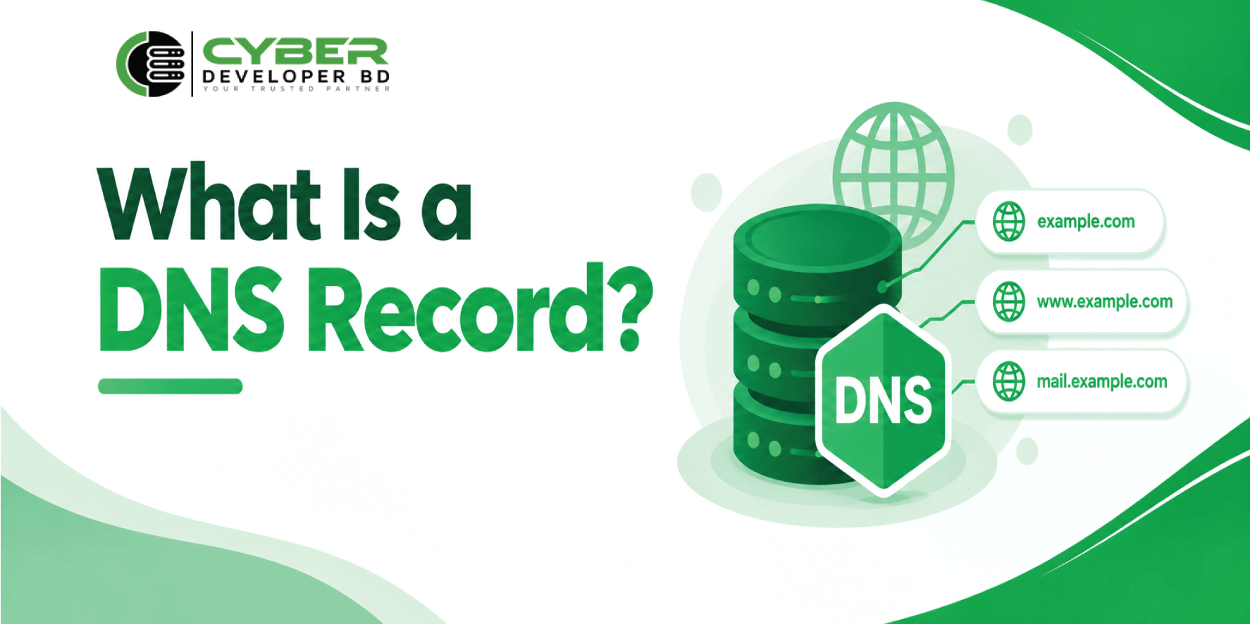 What Is a DNS Record?